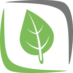 Arborist Tree Service