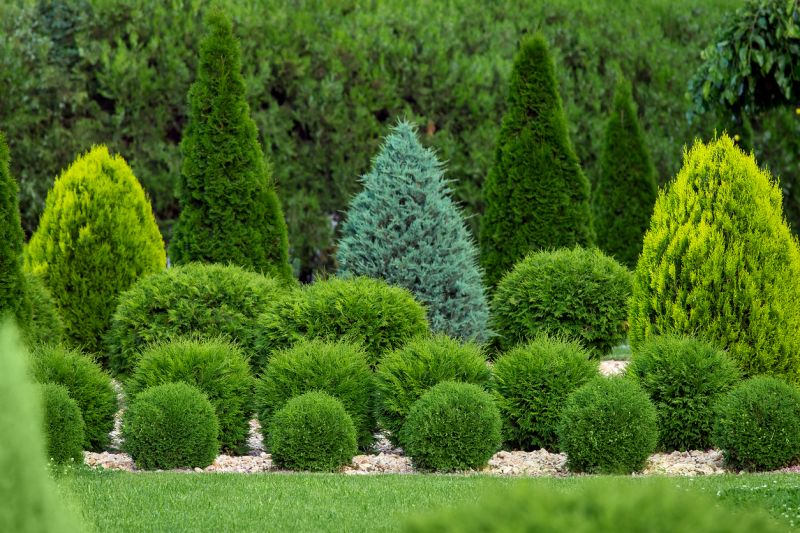 Bush Planting Service in Honolulu, HI