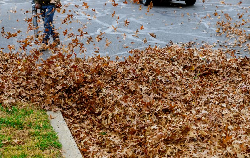 Fall Leaf Removal Service