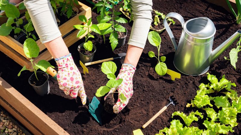 Flower Bed Cleanup Service in Honolulu, HI