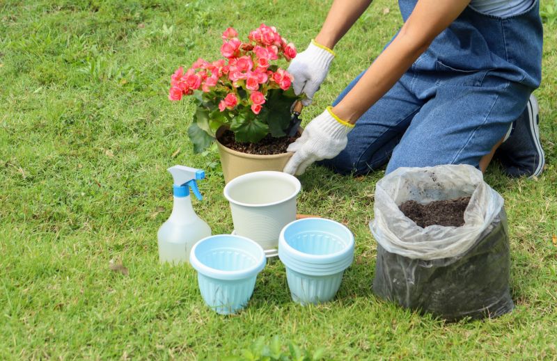 Flower Planting Service in Ventura County, CA