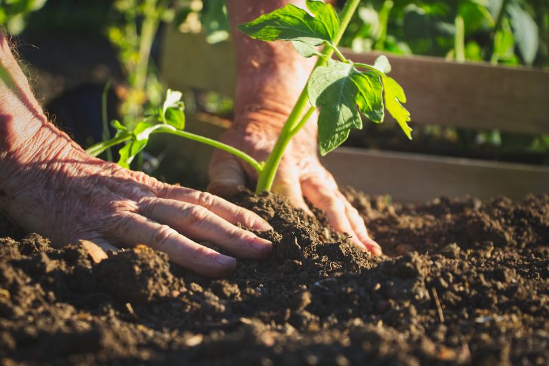 Garden Care Service in Ventura County, CA