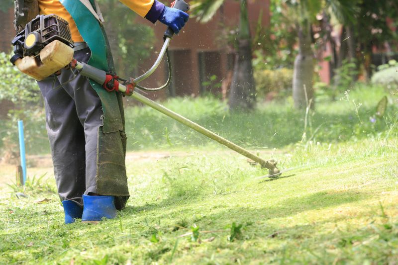 Grass Patching in Honolulu, HI