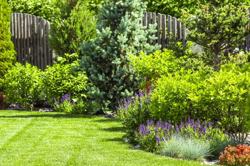 Hedge Landscaping in Ventura County, CA