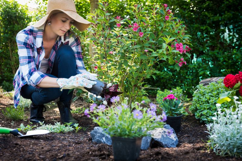 Home Gardening Service in Honolulu, HI