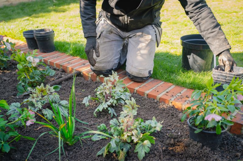 Lawn Border Installation in Citrus County, FL