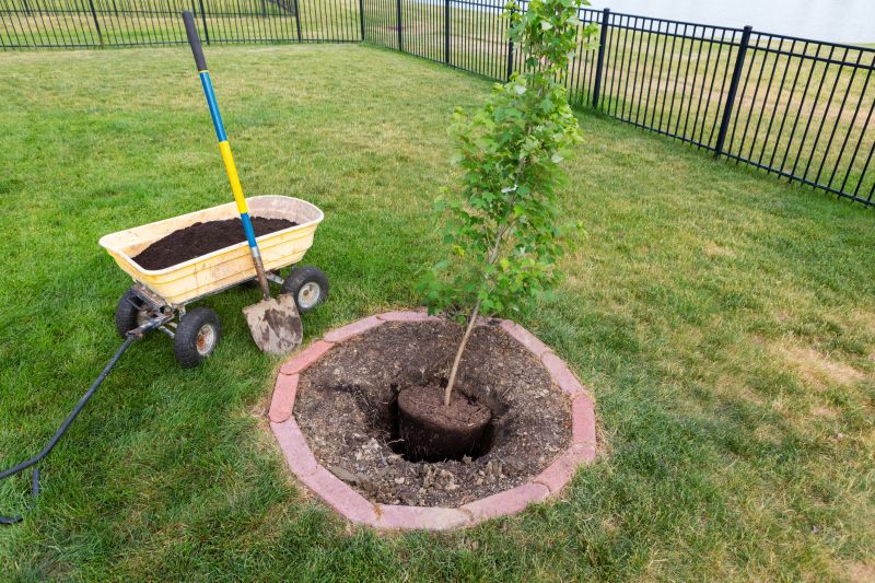 Orchard Planting in Ventura County, CA