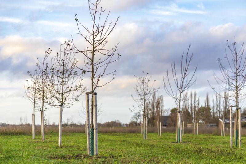 Orchard Planting in Honolulu, HI