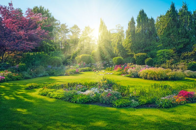 Organic Mulch Installation in Ventura County, CA