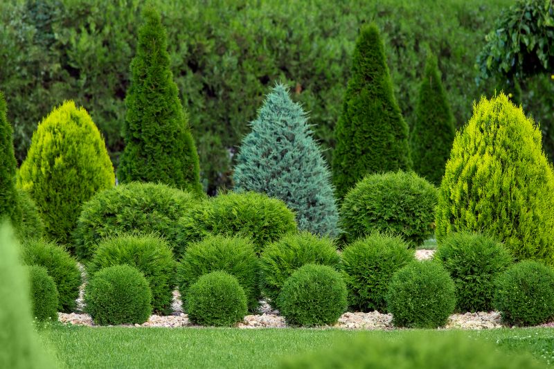 Shrub Planting Service in Honolulu, HI
