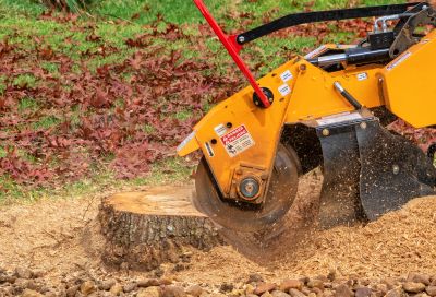 Stump Grinding Specialists