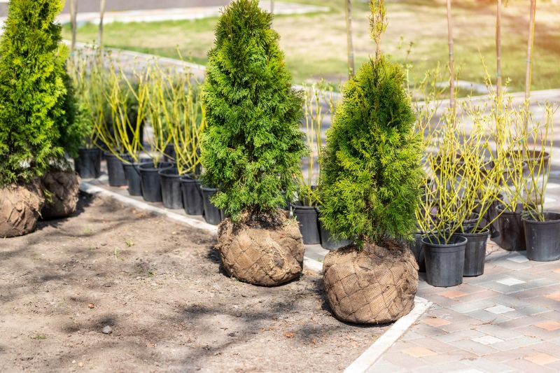 Bush Planting Service in Ventura County, CA