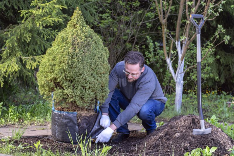 Ornamental Tree Planting in Ventura County, CA
